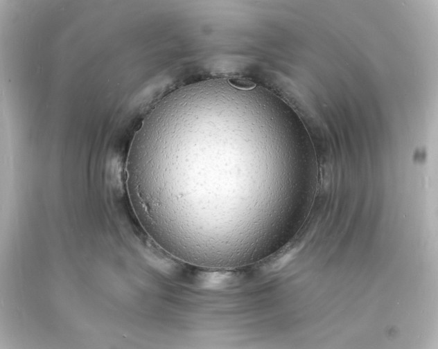X0000094060575200711021448
