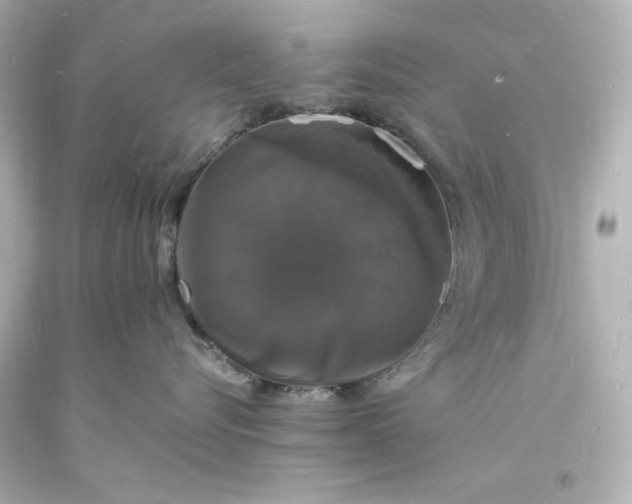 X0000094060576200711021448