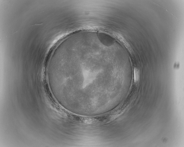 X0000094060579200711021448