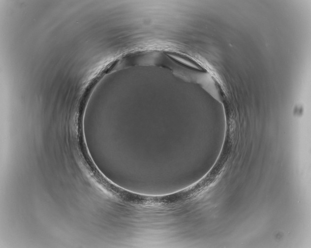 X0000094060581200711021448