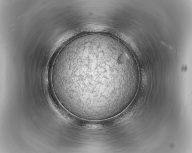 X0000094060582200711021447