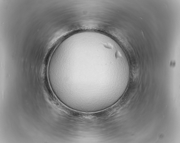 X0000094060583200711021447