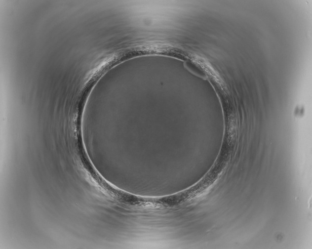 X0000094060585200711021447