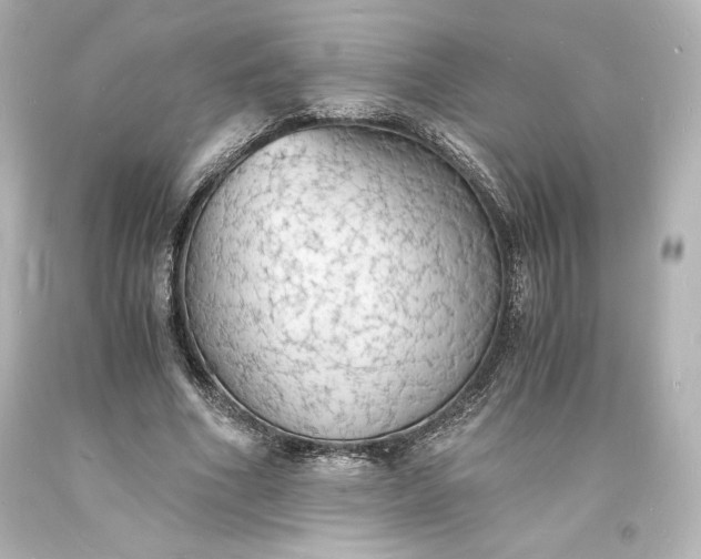 X0000094060586200711021447