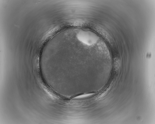 X0000094060589200711021447