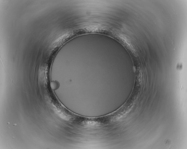 X0000094060590200711021447
