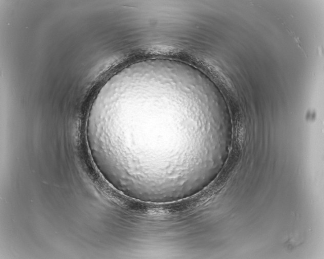 X0000094060591200711021447