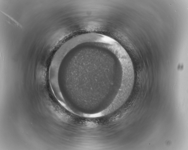 X0000094060592200711021447
