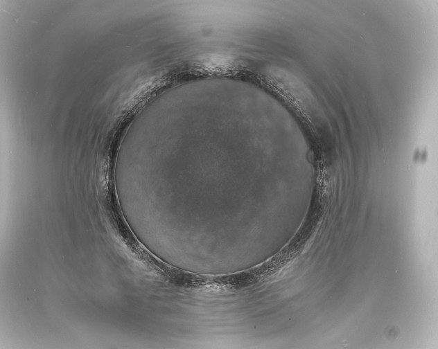 X0000094060593200711021447