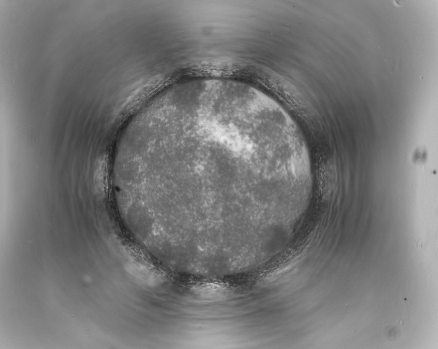 X0000094060594200711021447