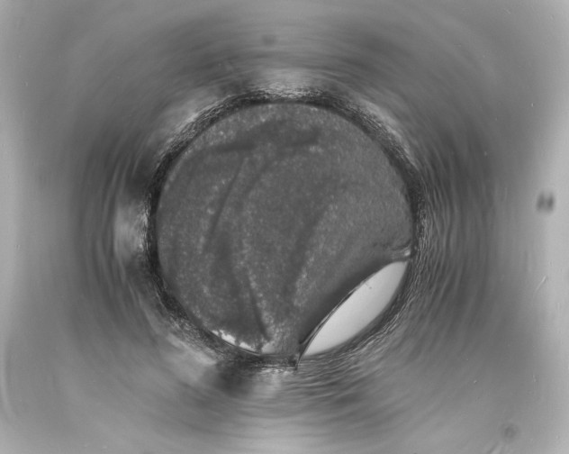 X0000094060596200711021447