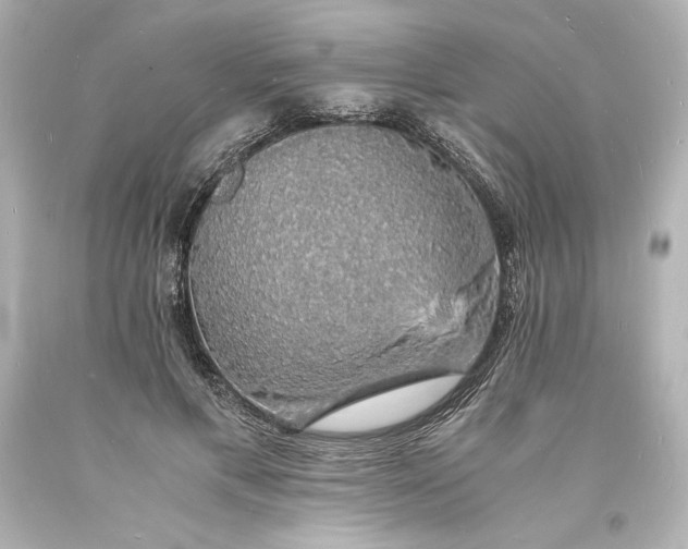 X0000094060597200711021447