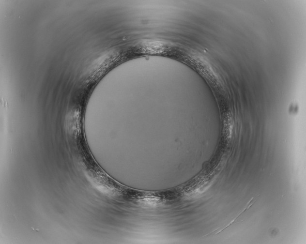 X0000094060598200711021447