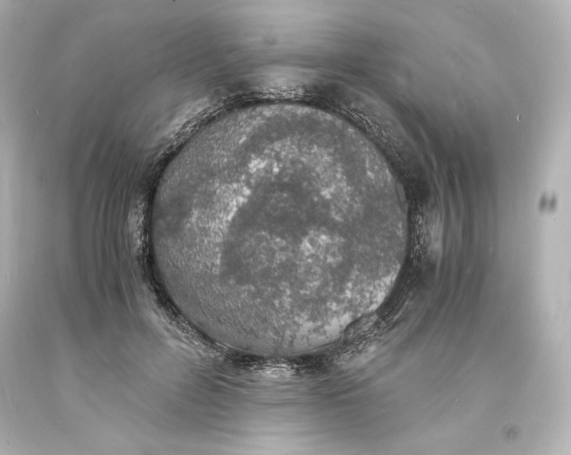 X0000094060600200711021447