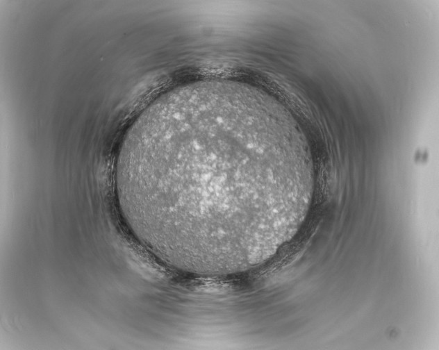 X0000094060601200711021447