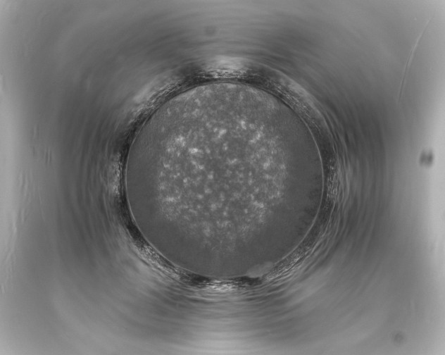 X0000094060604200711021447