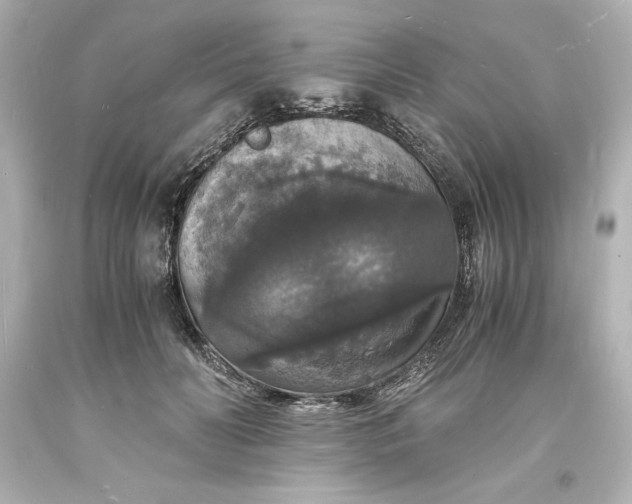 X0000094060606200711021447