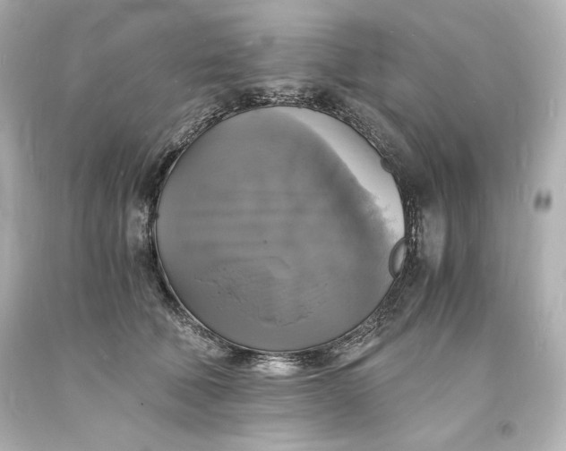 X0000094060610200711021447