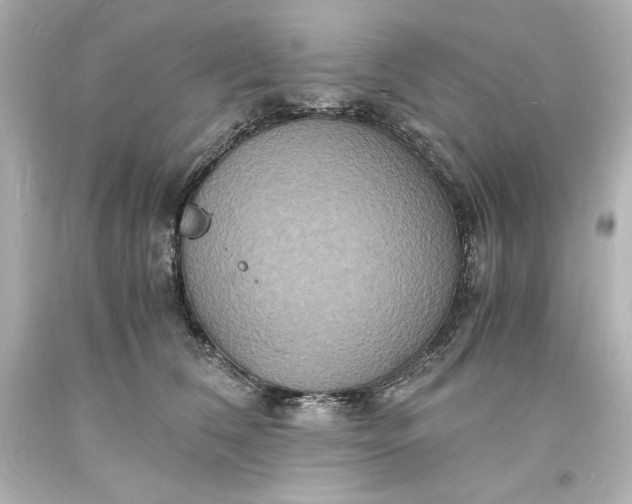 X0000094060612200711021447