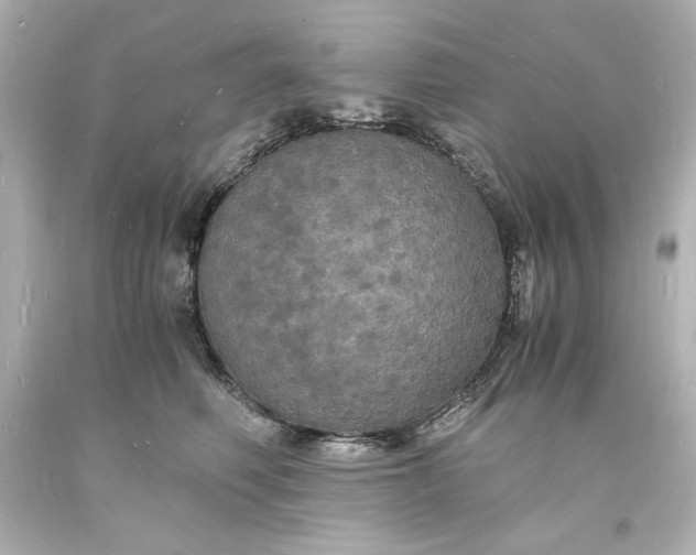 X0000094060614200711021447