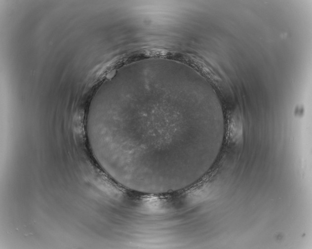 X0000094060616200711021447