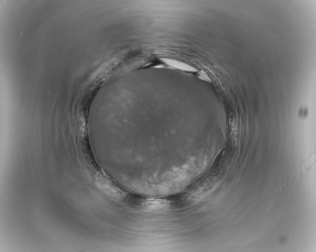 X0000094060617200711021447