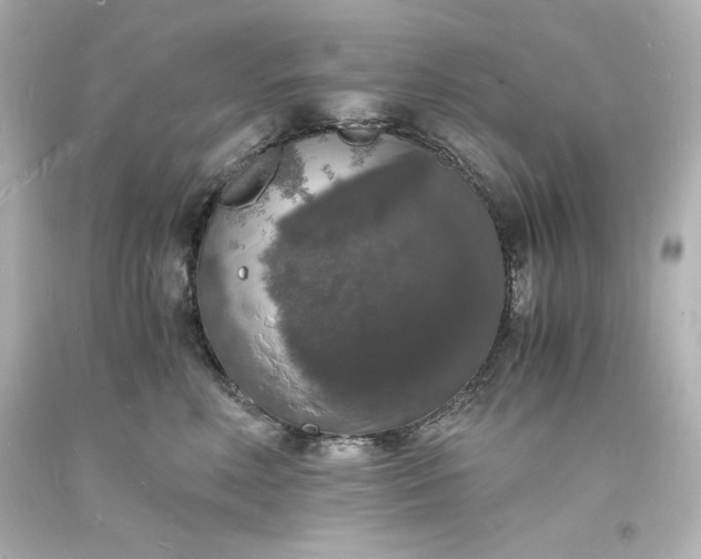 X0000094060618200711021447
