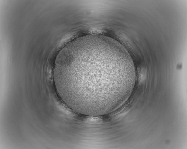 X0000094060619200711021447