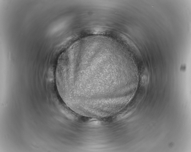 X0000094060620200711021447