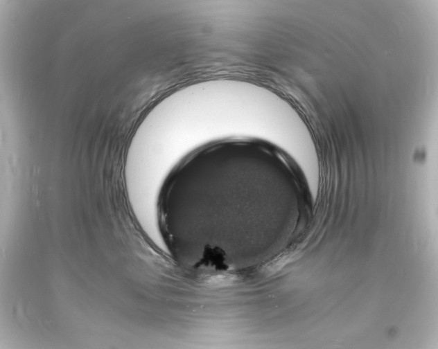 X0000094060621200711021447