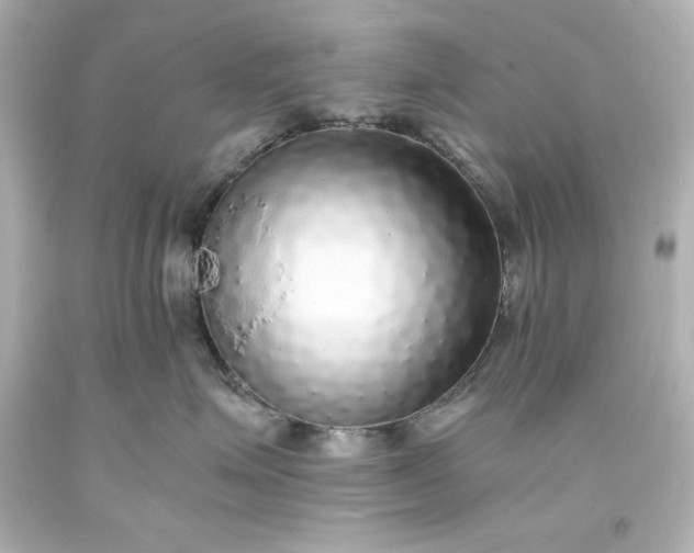 X0000094060623200711021447