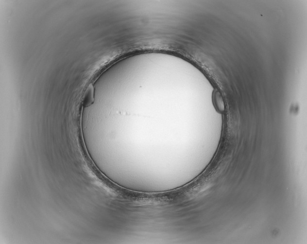 X0000094060625200711021446