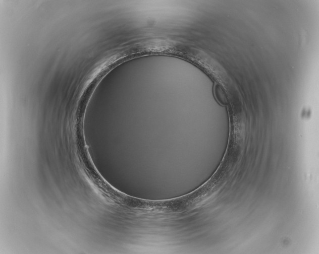 X0000094060626200711021446