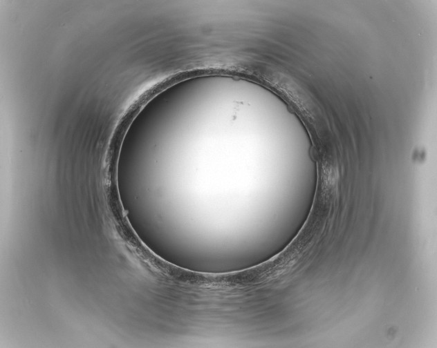 X0000094060628200711021446