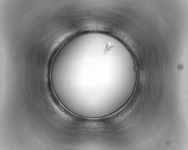 X0000094060629200711021446