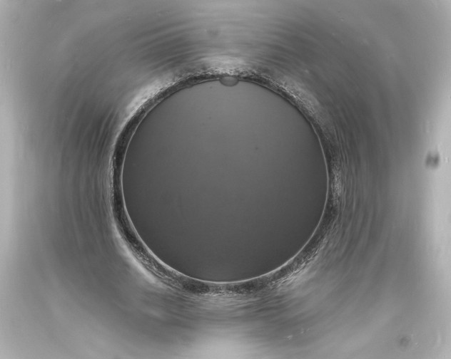X0000094060630200711021446
