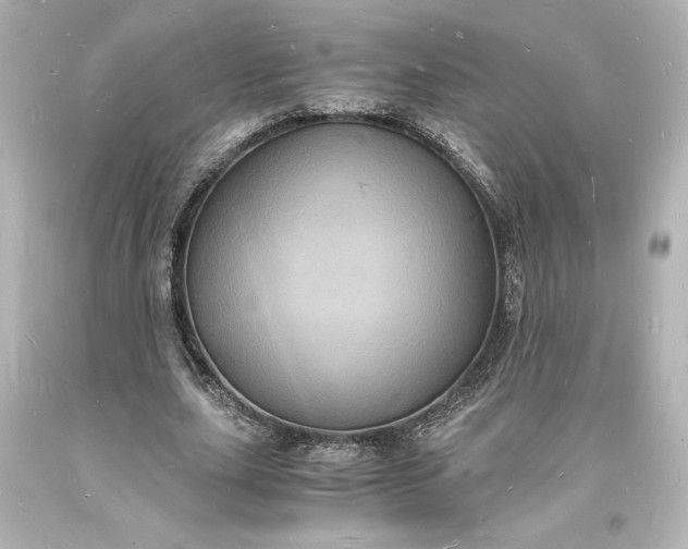 X0000094060631200711021446