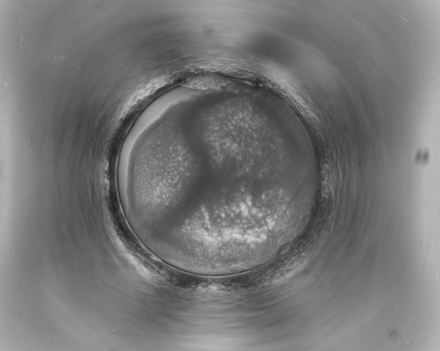 X0000094060634200711021446