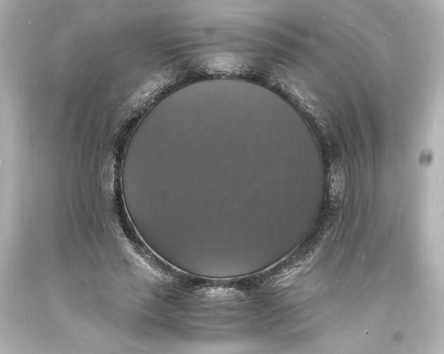 X0000094060637200711021446