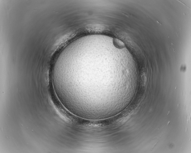 X0000094060638200711021446