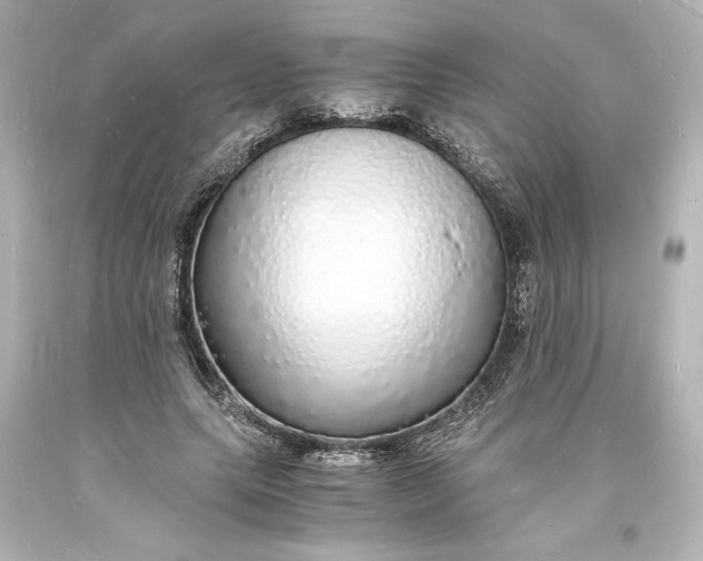 X0000094060639200711021446