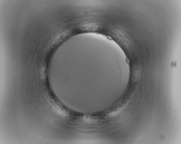 X0000094060641200711021446
