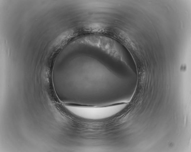 X0000094060643200711021446