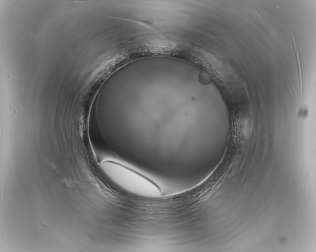 X0000094060644200711021447