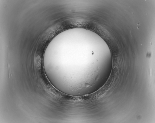 X0000094060646200711021447