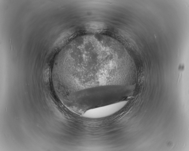 X0000094060647200711021447