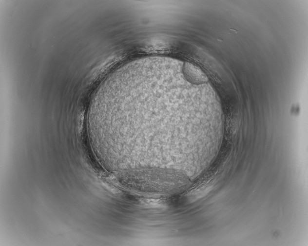 X0000094060652200711021447
