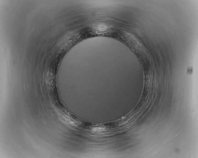 X0000094060653200711021447