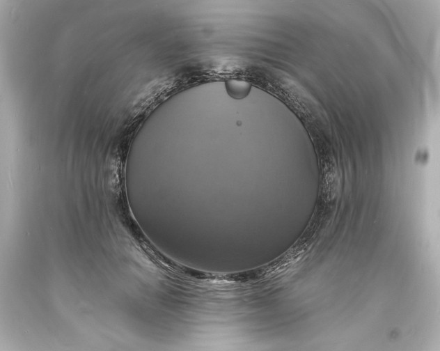 X0000094060654200711021447