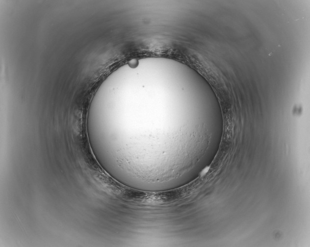 X0000094060656200711021447